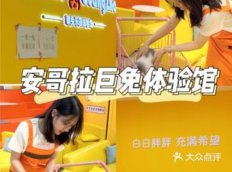 广州探店|| 安哥拉巨兔体验馆