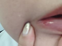 -吉丁鸟咖·异宠·寄养