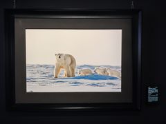 -罗红摄影艺术馆