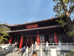 -灵谷景区