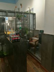点击看大图 -川和潮人漂色·烫染·接发
