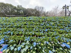 -苏州上方山国家森林公园