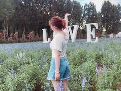-紫海香堤香草艺术庄园