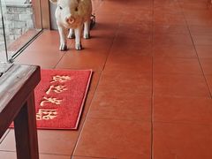 -猪角·闽南猪脚饭(厦门中医院店)