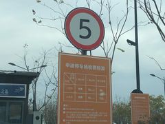 -迪士尼乐园停车场
