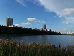 -南宁南湖公园