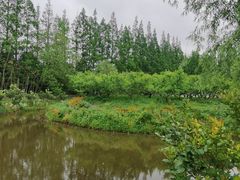 -前小桔亲子创意农场·草莓采摘·露营烧烤