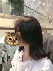 -OnHair造型