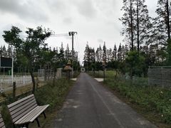 -上海长兴岛郊野公园