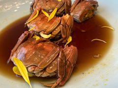 熟醉大闸蟹-神仙馆(衡山路店)