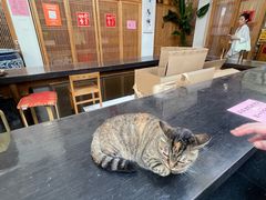 -龙华素斋(龙华路店)