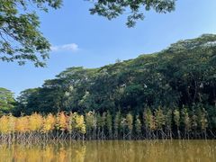 -番禺大夫山森林公园