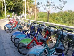 -大梅沙海滨公园-停车场