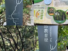 -广州市帽峰山景区