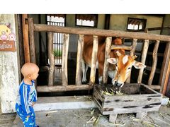 -乌村