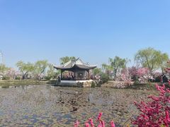 -无锡蠡湖国家湿地公园-蠡园