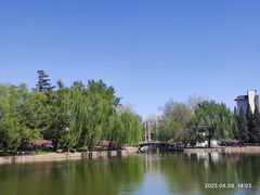 -团结湖公园