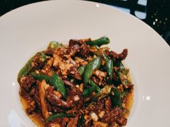 -红果树(江光店)