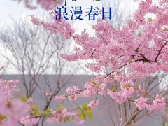 -上海辰山植物园
