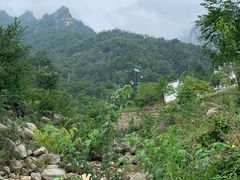 -老界岭旅游度假区
