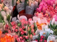 -循礼门鲜花花市(武汉循礼门店)