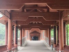 -重庆彩云湖湿地公园