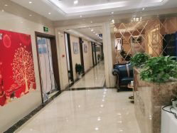 -碧莲盛·不剃发植发