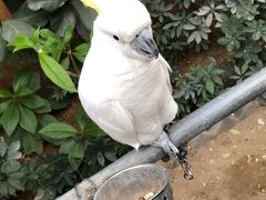 -南宫五洲植物乐园