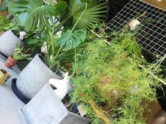 -山下C5cafe(惠通时代广场店)
