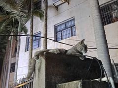 -猫岛主趣味餐厅(鼓浪屿店)