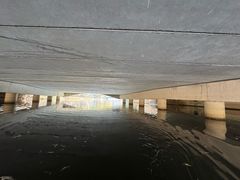 -新江湾城公园