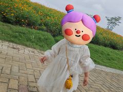 -同里国家湿地公园