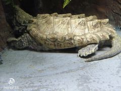 景点-郑州海洋馆