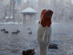 -水磨沟公园