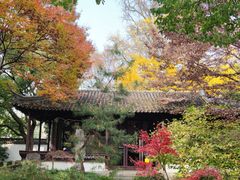 -上海醉白池公园