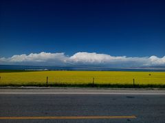 -青海湖国家重点风景名胜区