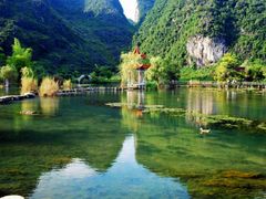 -靖西鹅泉风景区