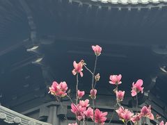 -荔湾湖公园