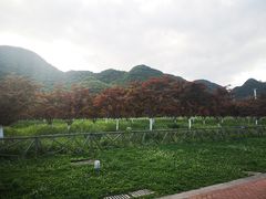 -云漫湖生态度假公园