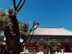 -妙应寺白塔