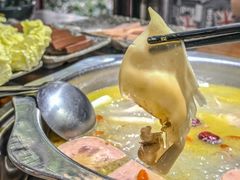 -云鱿记鱿鱼鸡·野生菌火锅(人民南路店)