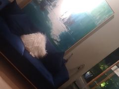 -周三的情书花园餐厅(江北店)