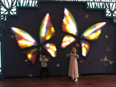 -郑州方特梦幻王国