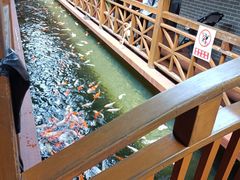-侠成水上农庄(工业大道店)