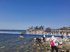 -养马岛旅游度假区