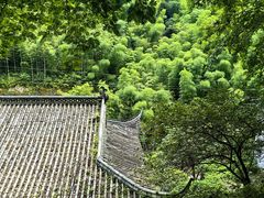 -长谷洞天