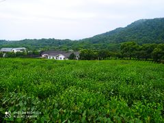 -中国茶叶博物馆(双峰馆区)
