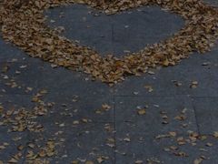 -西湖风景区十里琅珰-五云山