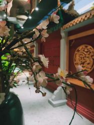 点击看大图 -盘子女人坊古装写真摄影(长春总店)