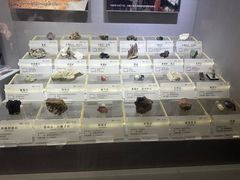 -湖南省地质博物馆